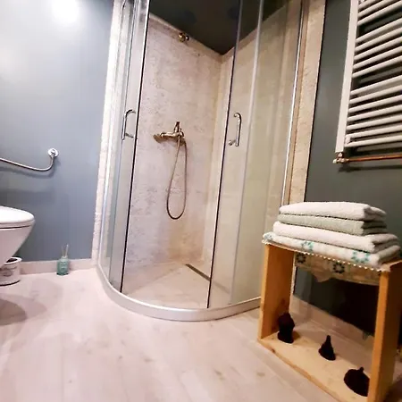Central Loft Apartment Brasov